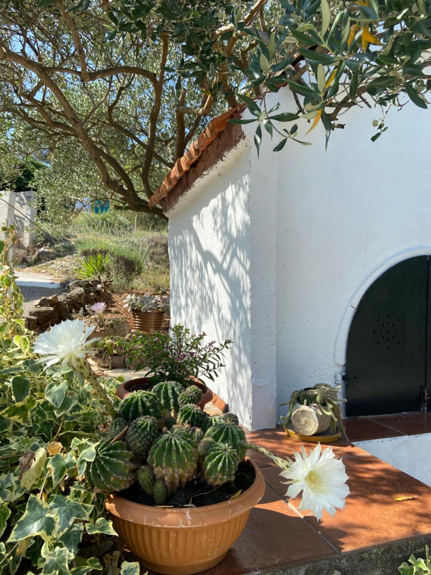 Family House Ljubica Villa Trogir Ngoại thất bức ảnh