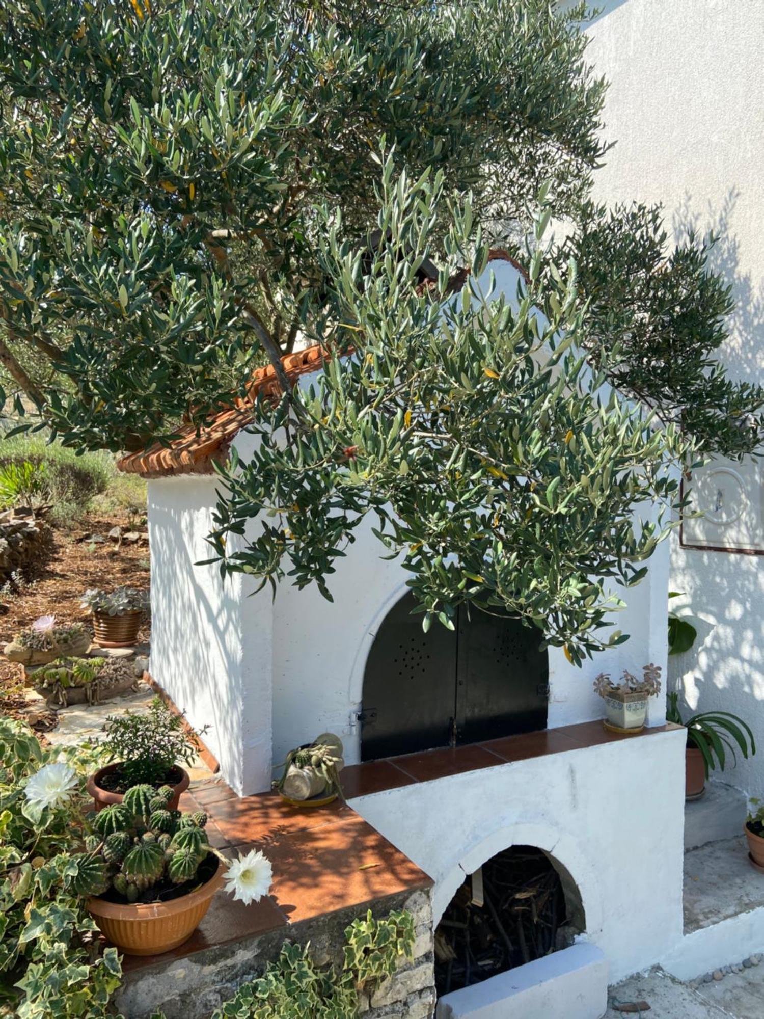 Family House Ljubica Villa Trogir Ngoại thất bức ảnh